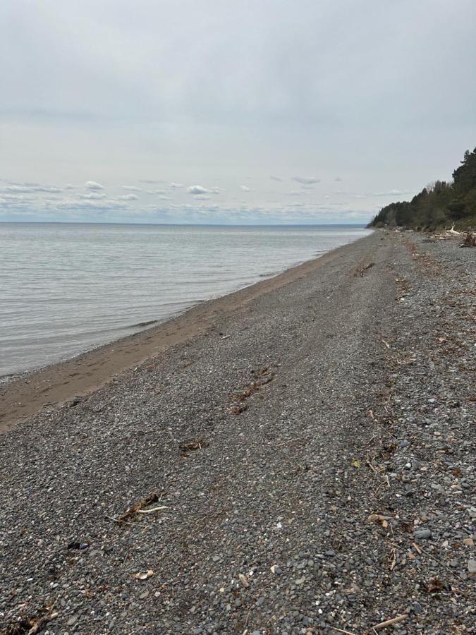 Motel Carleton Sur Mer Bagian luar foto