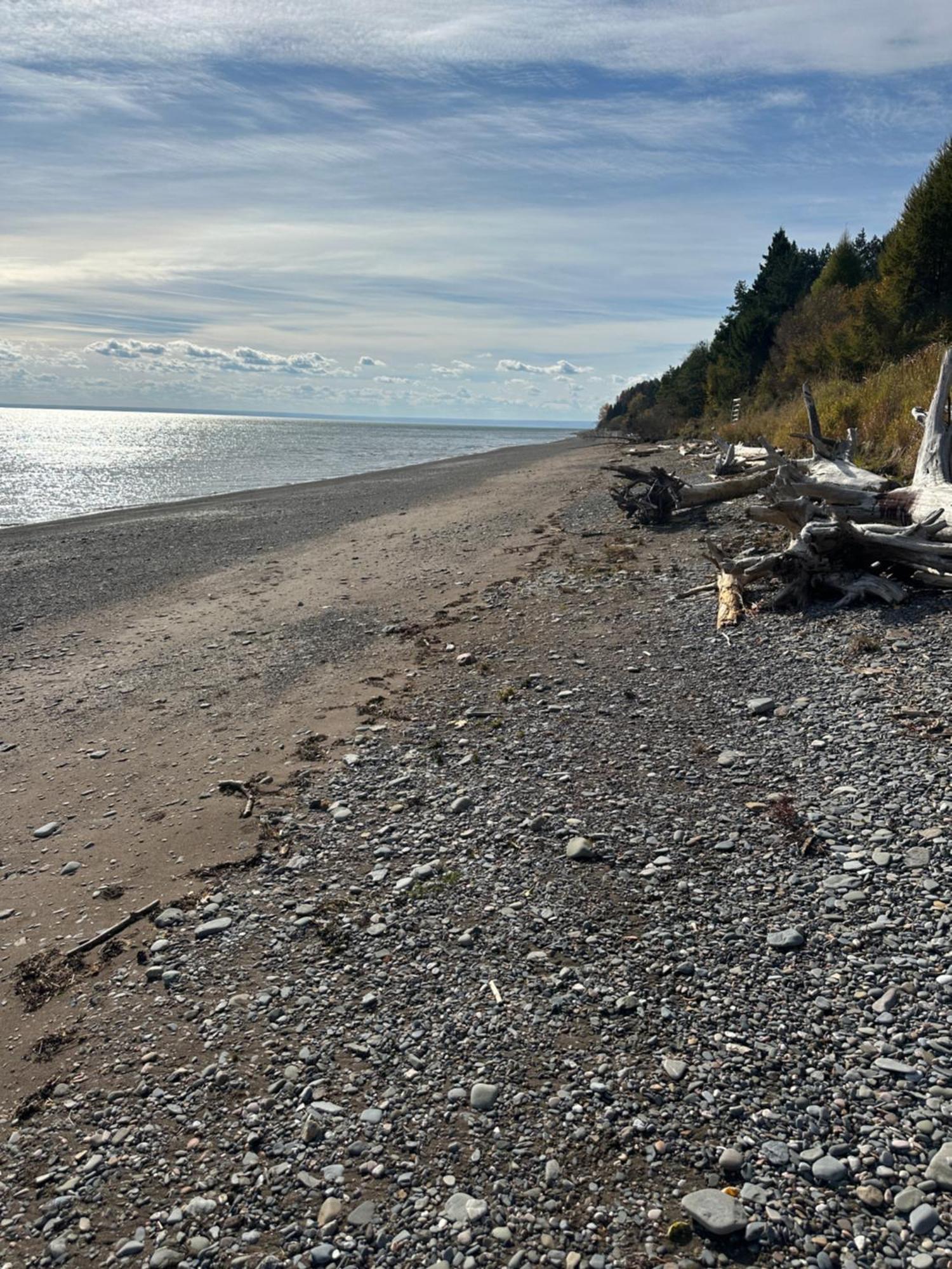 Motel Carleton Sur Mer Bagian luar foto